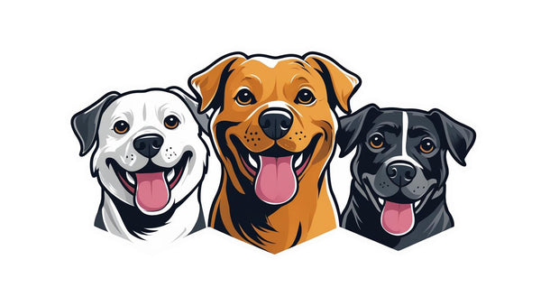 Paw-Products